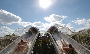 Walt Disney World Resort Attraction - Crush 'n' Gusher water ride at Typhoon Lagoon