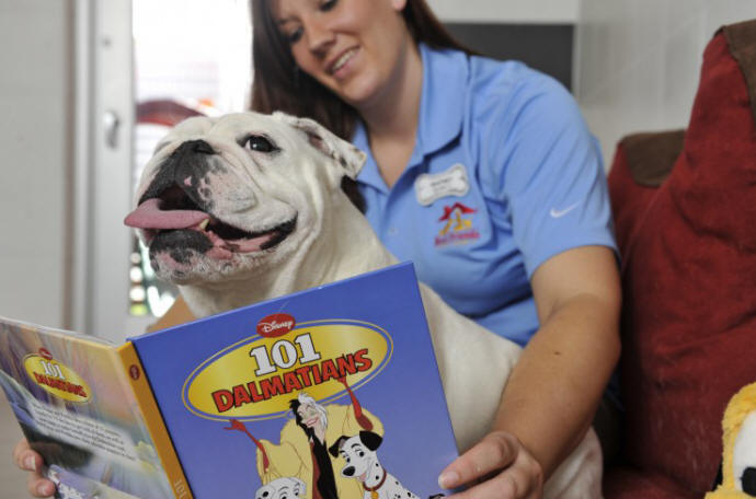 Best Friends Pet Care at Walt Disney World Resort is a luxury, state-of-the-art pet facility that offers boarding, daycare and grooming for dogs, cats and other family pets in a safe and fun environment. Before venturing to the parks, guests can stop by Best Friends Pet Care and let the pet professionals pamper their pooch for the day. Walt Disney World Resort is located in Lake Buena Vista, Fla. (Garth Vaughan, photographer) 