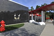  Best Friends Pet Care luxury pet resort, now open at Walt Disney World Resort.