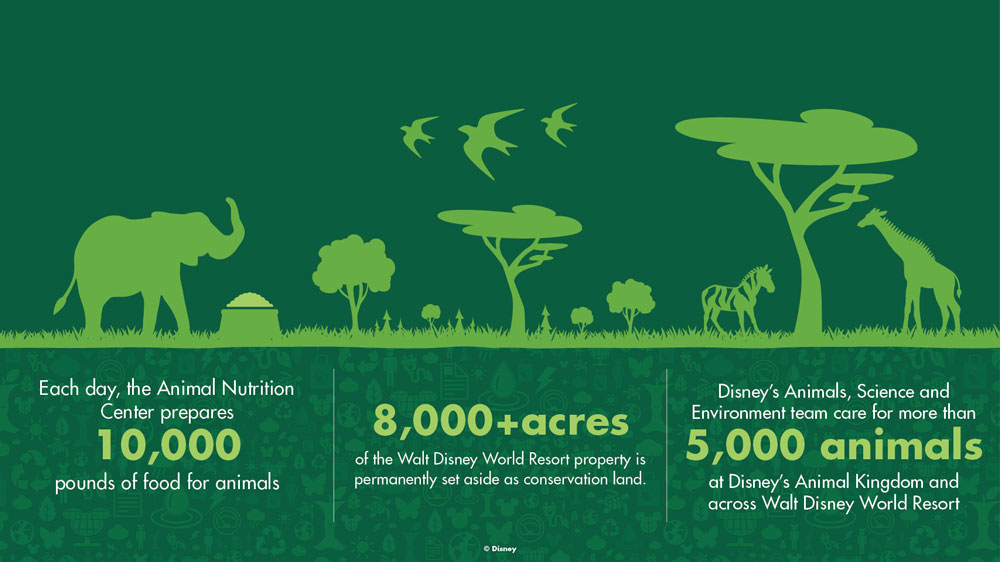 We also celebrate 30 years of dedicated Disney Parks’ environmental and sustainability initiatives, implementing programs in support of waste and emissions reduction and water and resource conservation